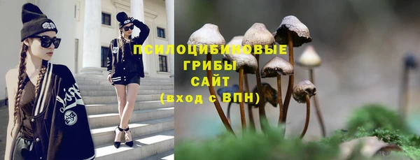 мет Алзамай
