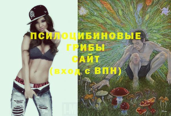 мет Алзамай