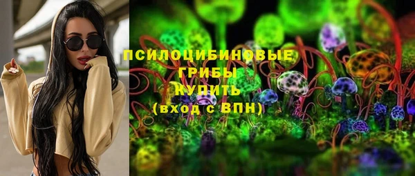 соль ск Алексеевка